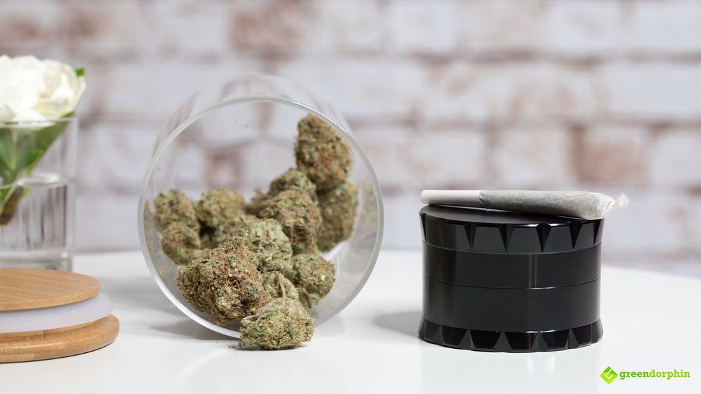cannabis lifestyle - cannabis and herb grinder