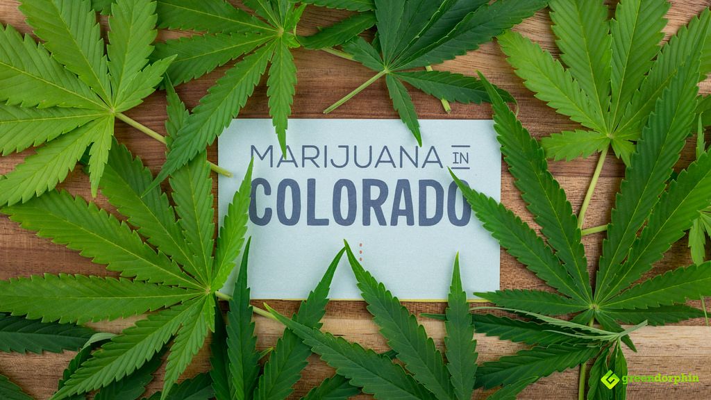 Marijuana in Colorado 