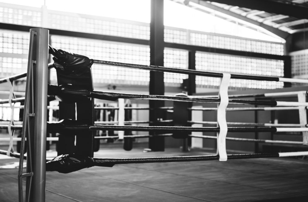 Cannabis and Mixed Martial Arts