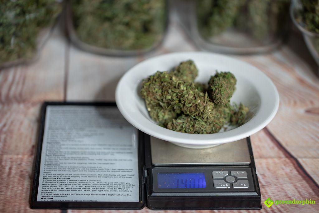 Weed Measurements: Weights Chart, Prices and Tips - Dutch Passion