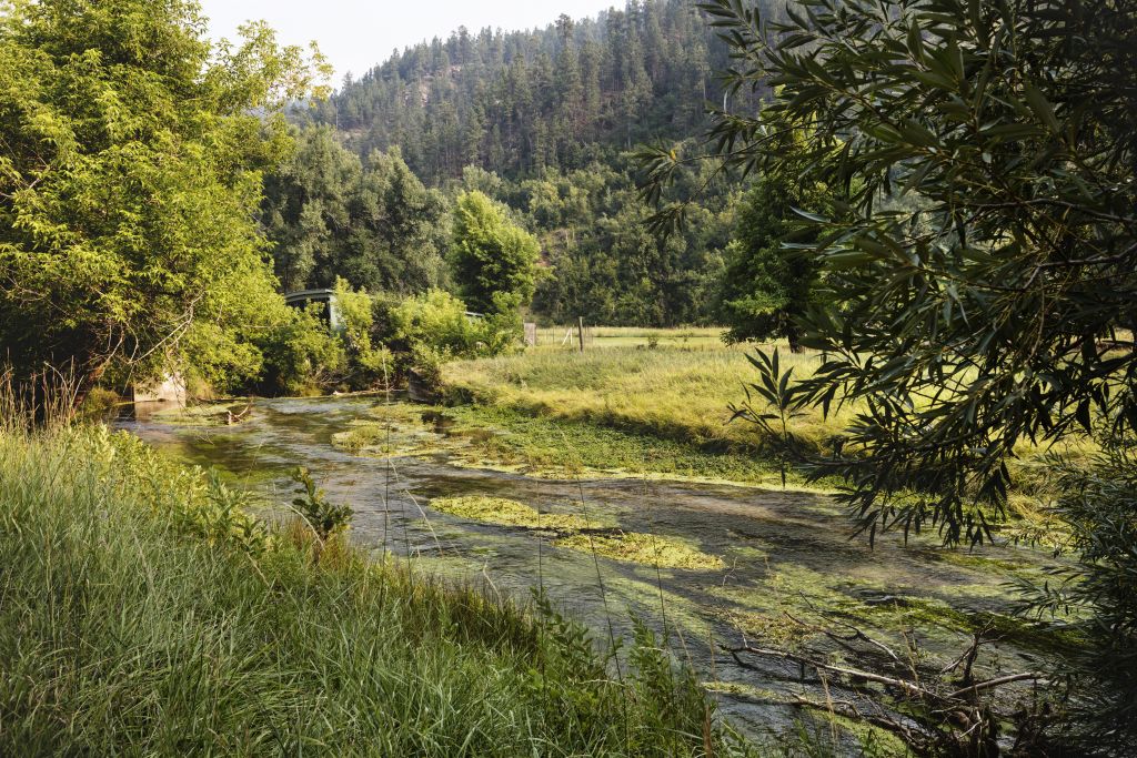 Trout stream near Buelah, Wyoming