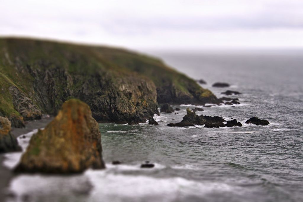 CBD oil in Ireland
