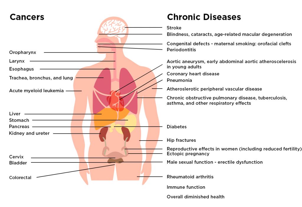 Health Effects of Cigarette Smoking Fact Sheet -vaping cannabis