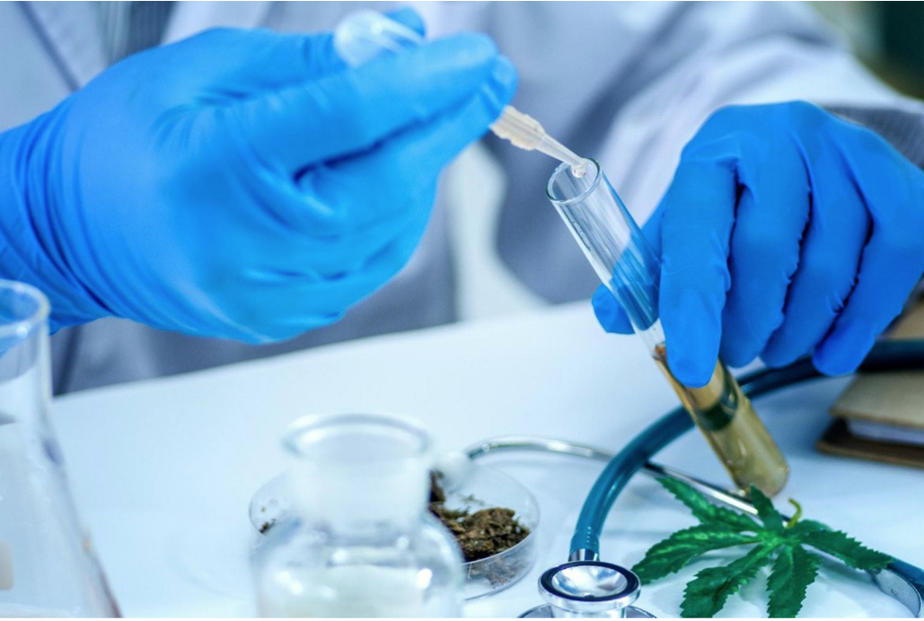 Cannabis Laboratory Testing