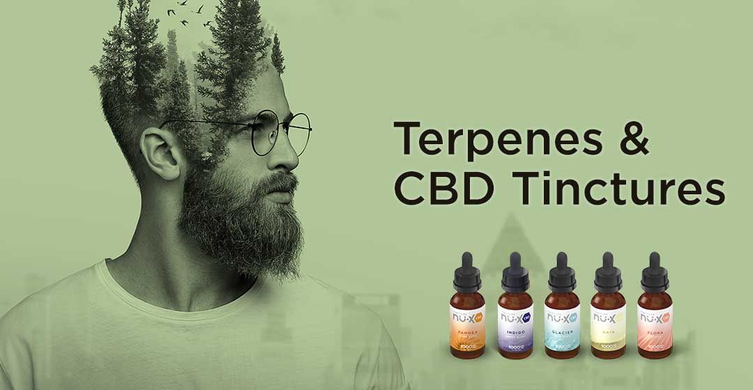 Terpenes and Tinctures – What’s the Connection?