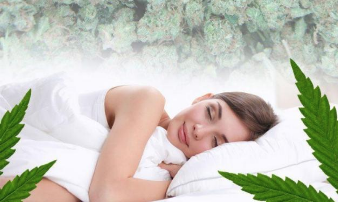 cannabis strains for sleep