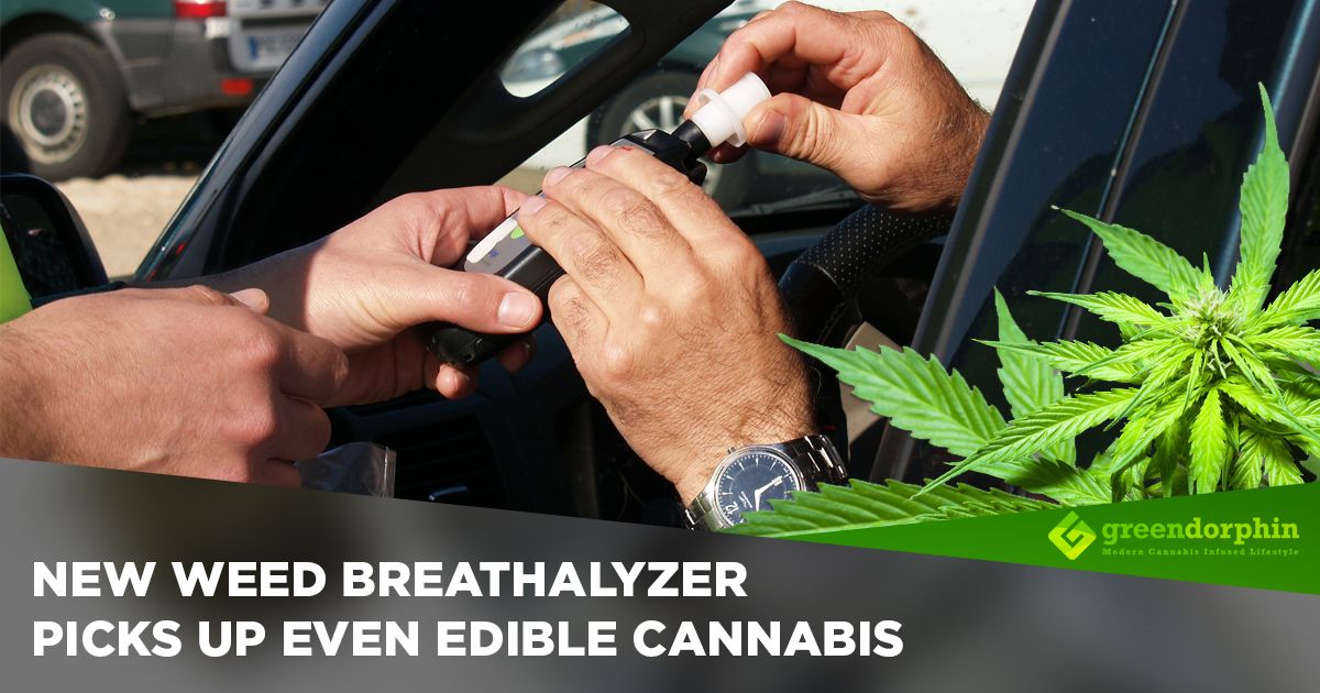 New Weed Breathalyzer Picks Up Even Edible Cannabis