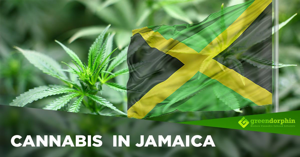 Cannabis In Jamaica Today   Facebook 17 