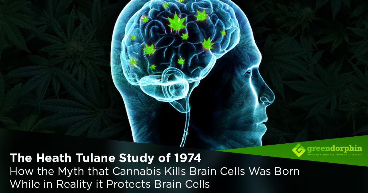 How the Myth that Cannabis Kills Brain Cells Was Born While in Reality it Protects Brain Cells