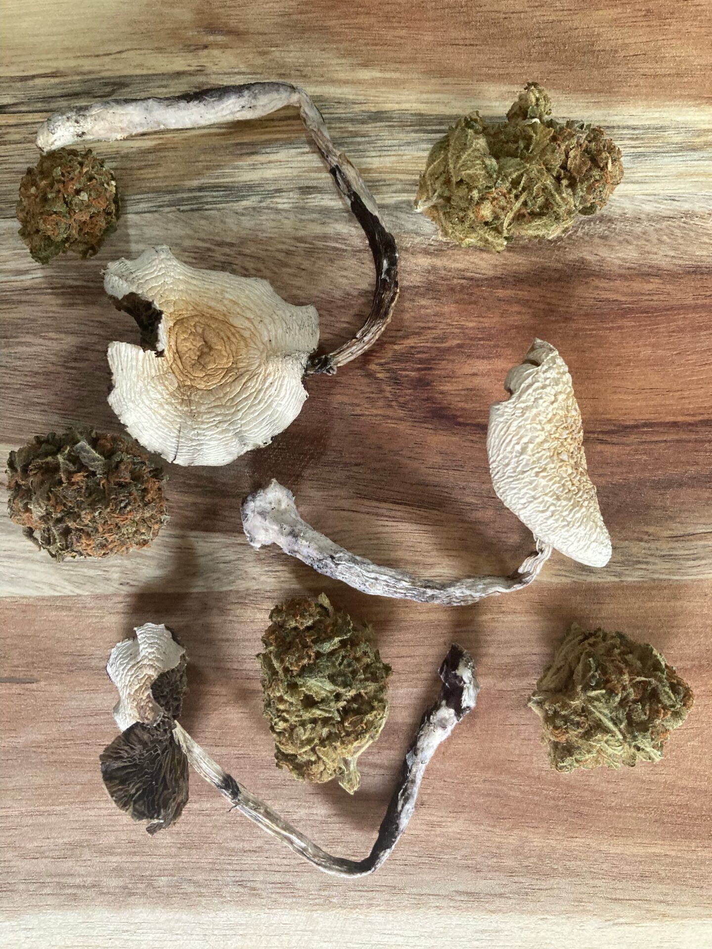 Magic Mushrooms and Cannabis