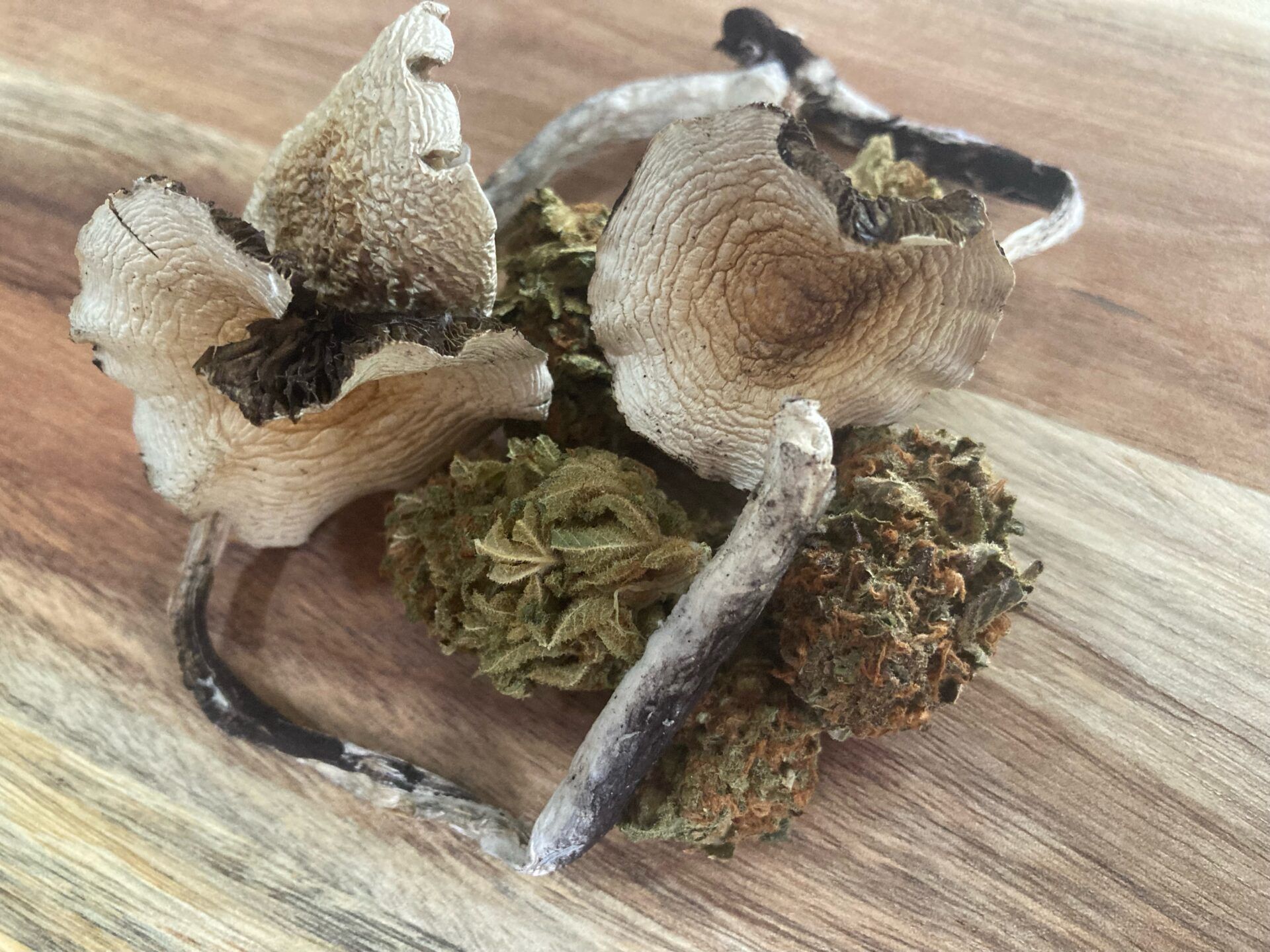 Benefits and Risks of Using Magic Mushrooms and Cannabis