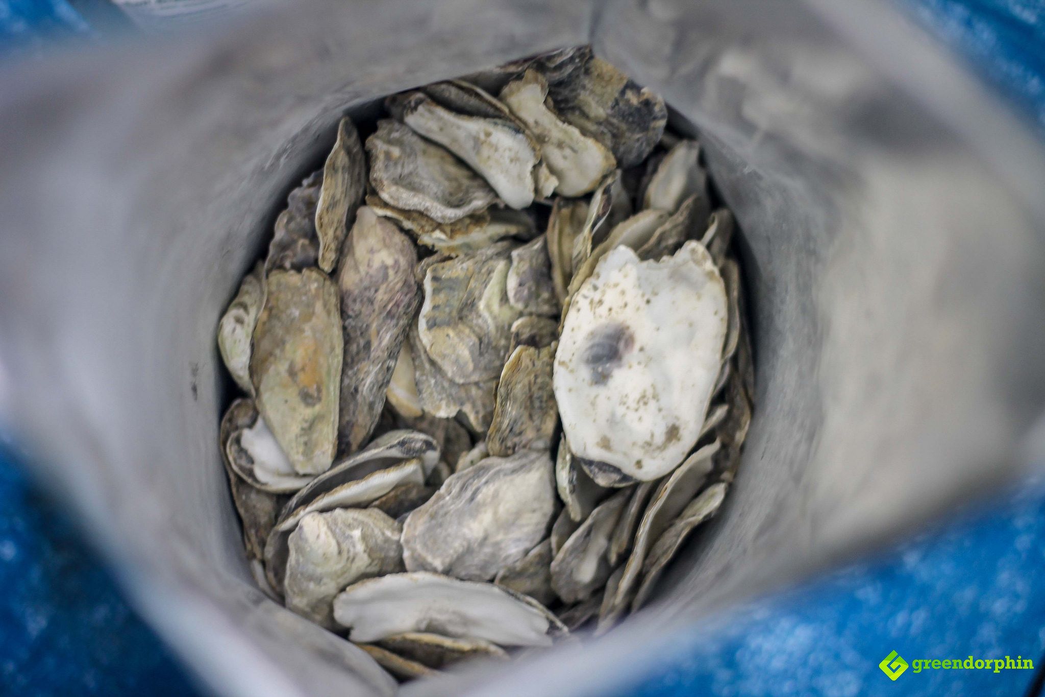 No-Till Soil oyster shells