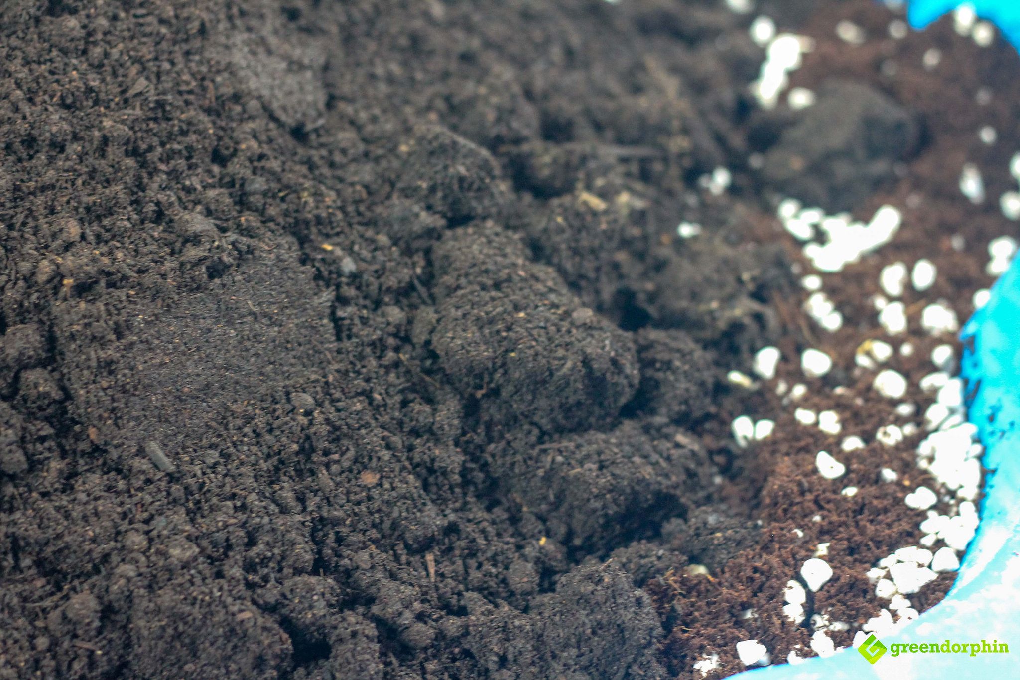 No-Till Soil compost macro