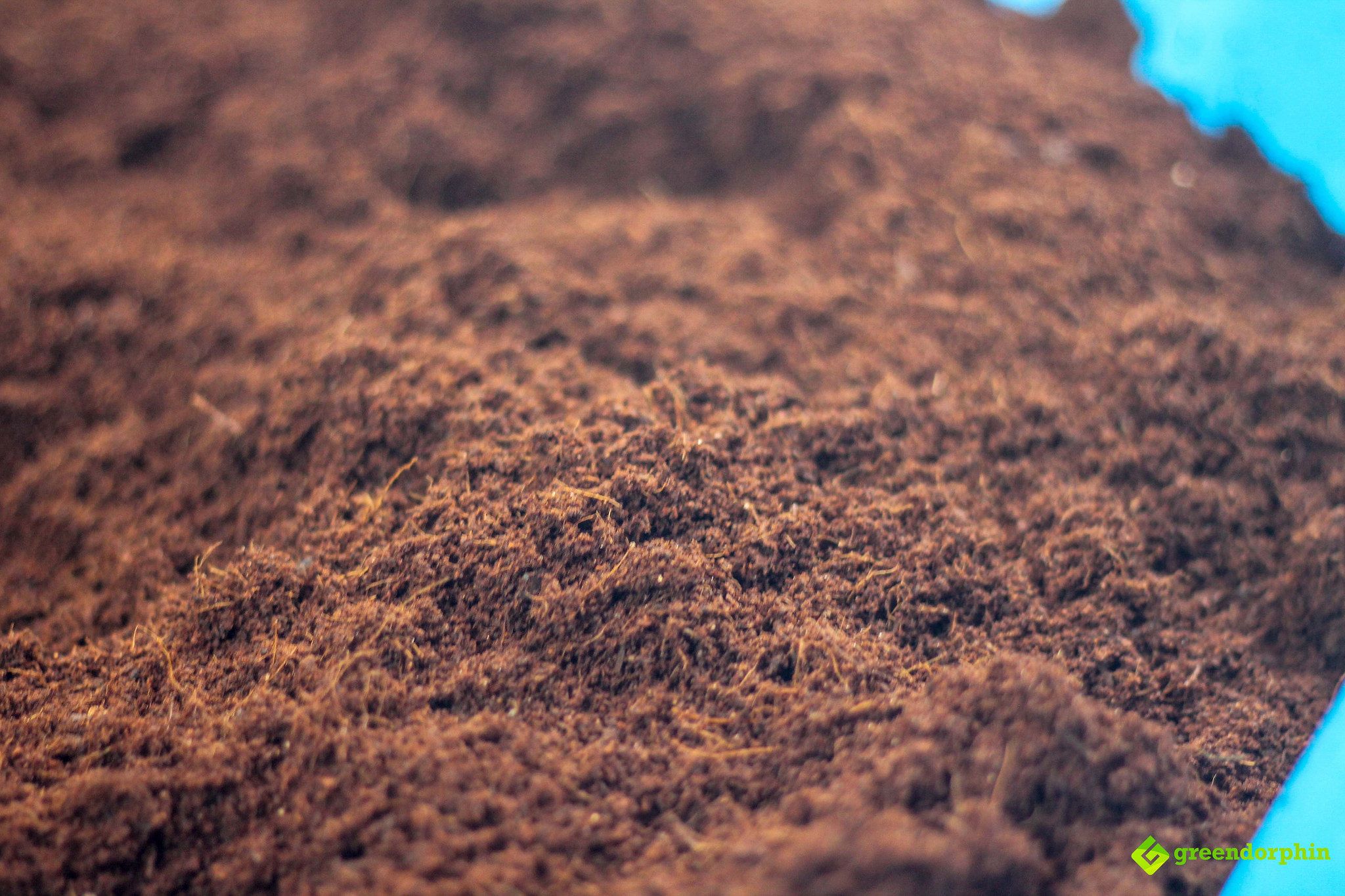 No-Till Soil peat moss macro