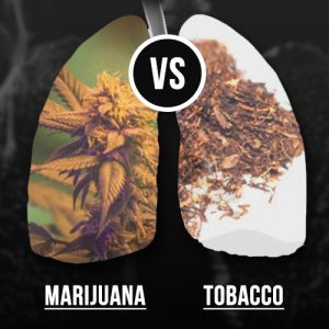 smoking weed vs tobacco