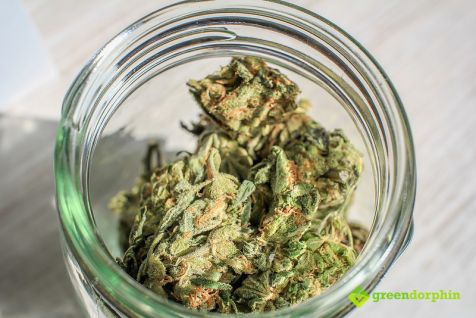 Cannabis in jar- marijuana saves lives