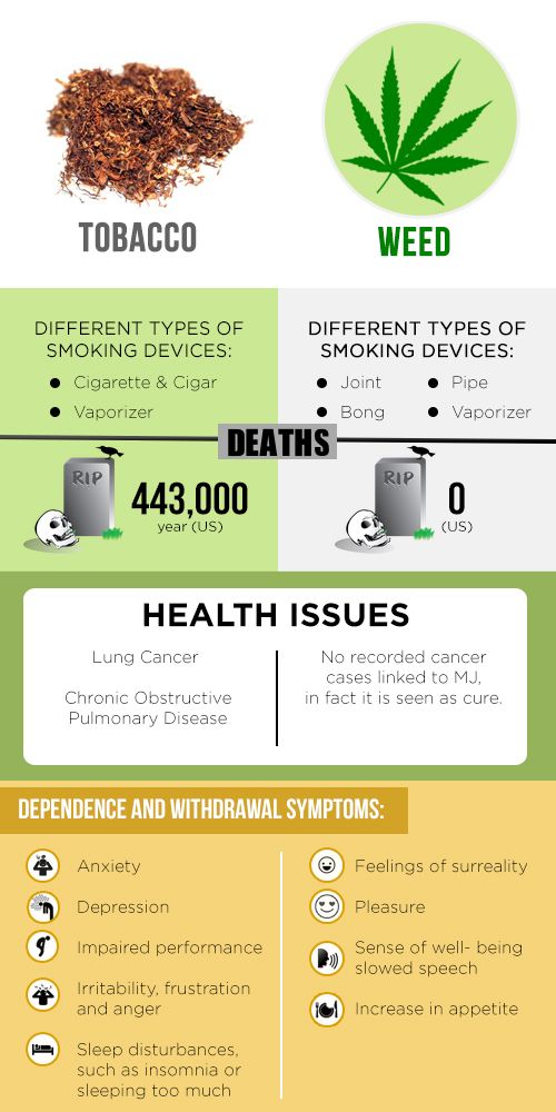 Smoking Weed VS Tobacco Infographic 