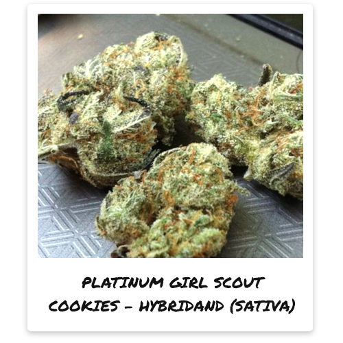 strains pot valet provides