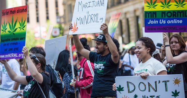 marijuana organizations