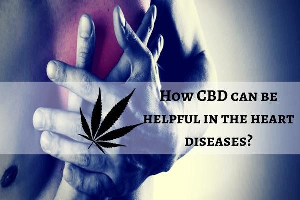 Why is CBD Oil Important for a Healthy Heart?