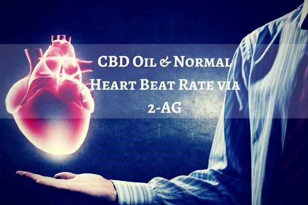 Why is CBD Oil Important for a Healthy Heart?