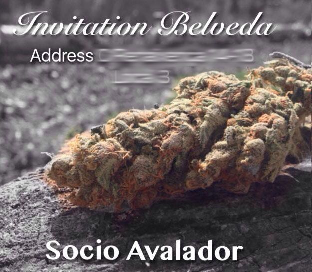 Barcelona Cannabis clubs- nvitation private