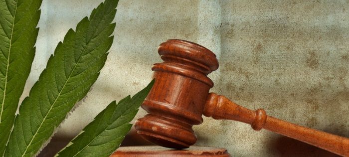 Cannabis laws and regulations