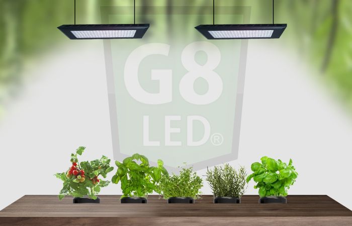 LED Grow Lights