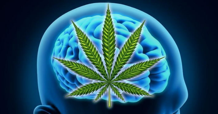 Cannabis Help Your Brain