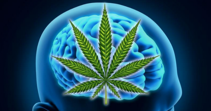 How Cannabis Affects How We Think About Our Future | Greendorphin.com