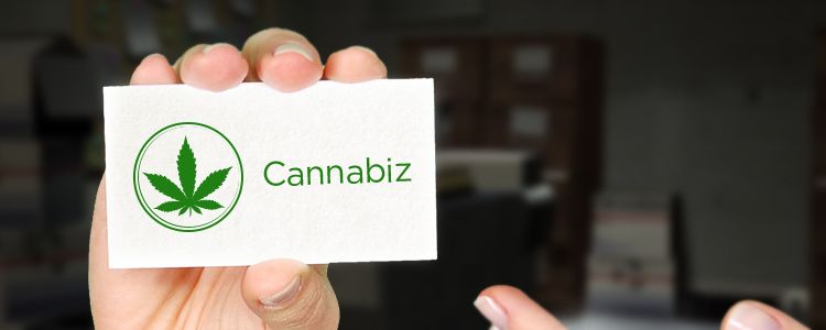 Cannabis business trends