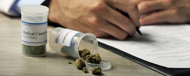 marijuana helps treat Epilepsy