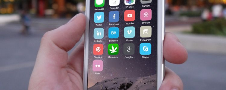 cannabis and social media