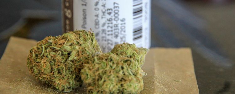 medical marijuana benefits
