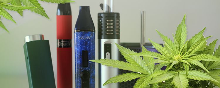 How You can benefit from Vaping Cannabis with Common Herbs 