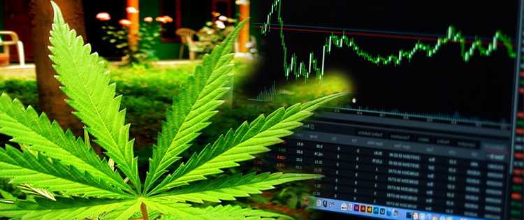 Marijuana Stocks Worth