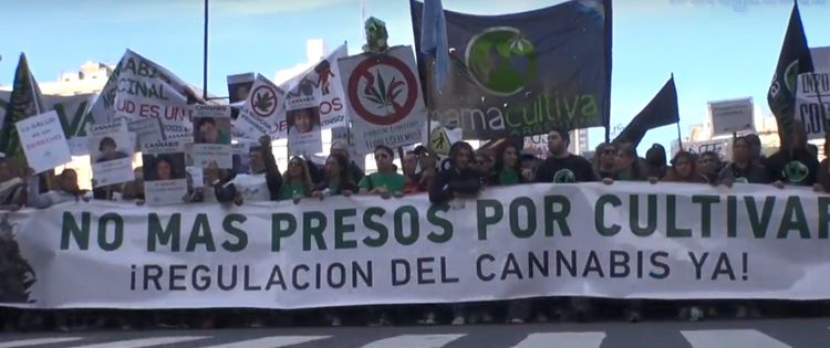 Argentina Cannabis Protest