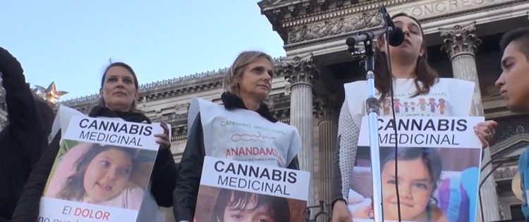 Argentina Cannabis Protest