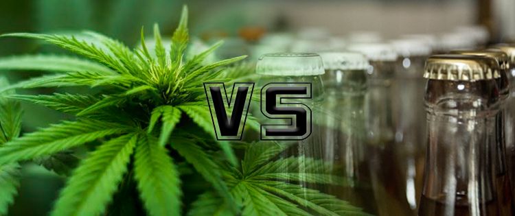 Cannabis vs Soda