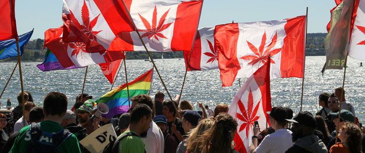 Legal Cannabis Industry in Canada Could Reach $4 Billion in the First Year