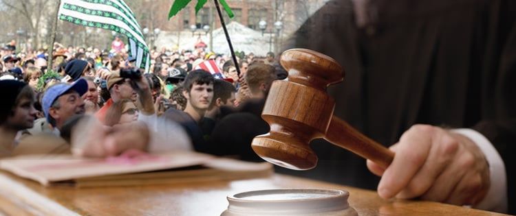 Get Clear on the Law on Cannabis Impairment in the Workplace