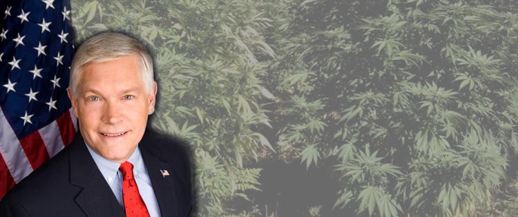 Pete Sessions: The Reason Congress Can’t Vote on the Legalization of Marijuana
