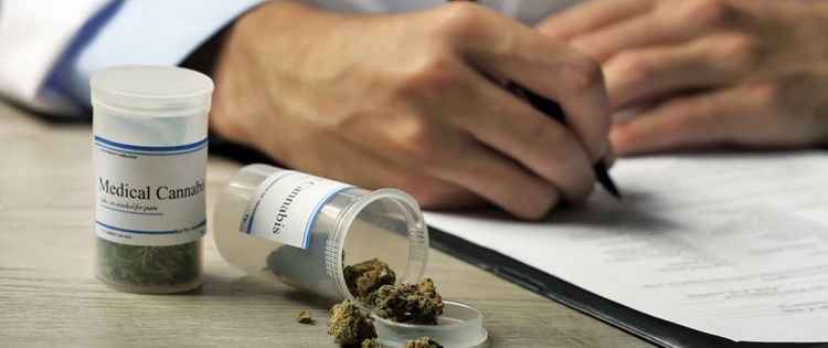 Cannabis for Pain Management