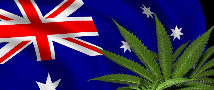 Australia's cannabis law