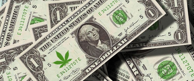 Cannabis Business Trends