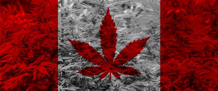 Cannabis Legalization Canada