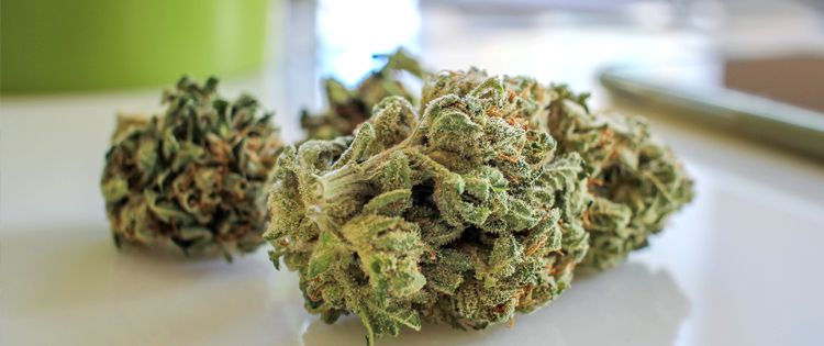 Not a weed connoisseur? It can be difficult to tell the difference because it’s green and smells somewhat like weed, making it a pretty tempting offer.