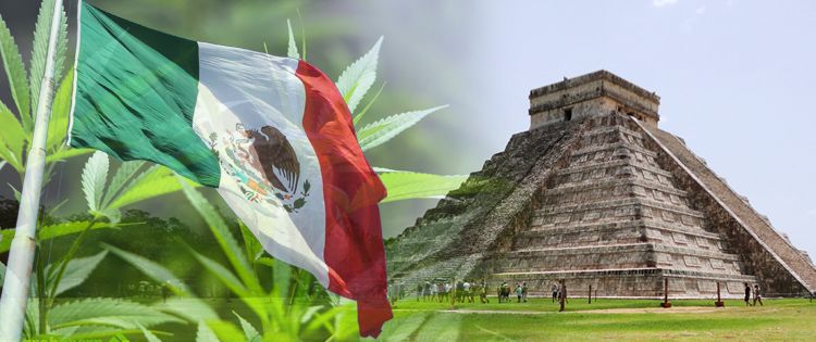 The Progress of Cannabis In Mexico: Reform South of The Border