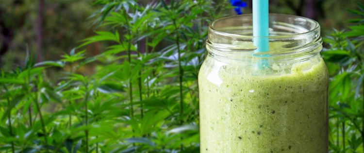 Cannabis Juice