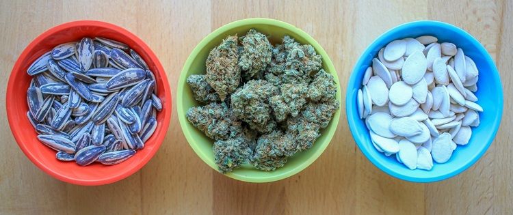 seeds and cooking with marijuana